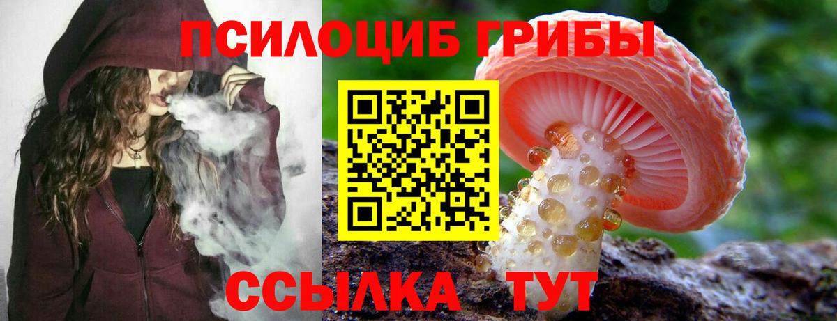 Галлюциногенные грибы Magic Shrooms  Вход с VPN  Бийск 