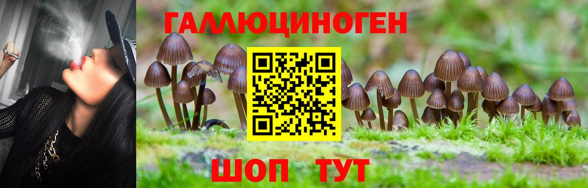 Псилоцибиновые грибы ЛСД Бийск